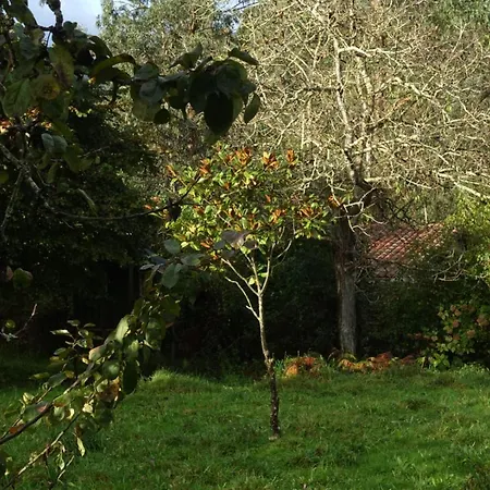Villa Country House In La Pereda