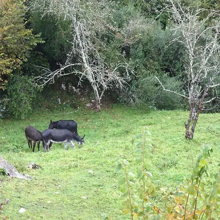 Country House In La Pereda * La Pereda de Llanes